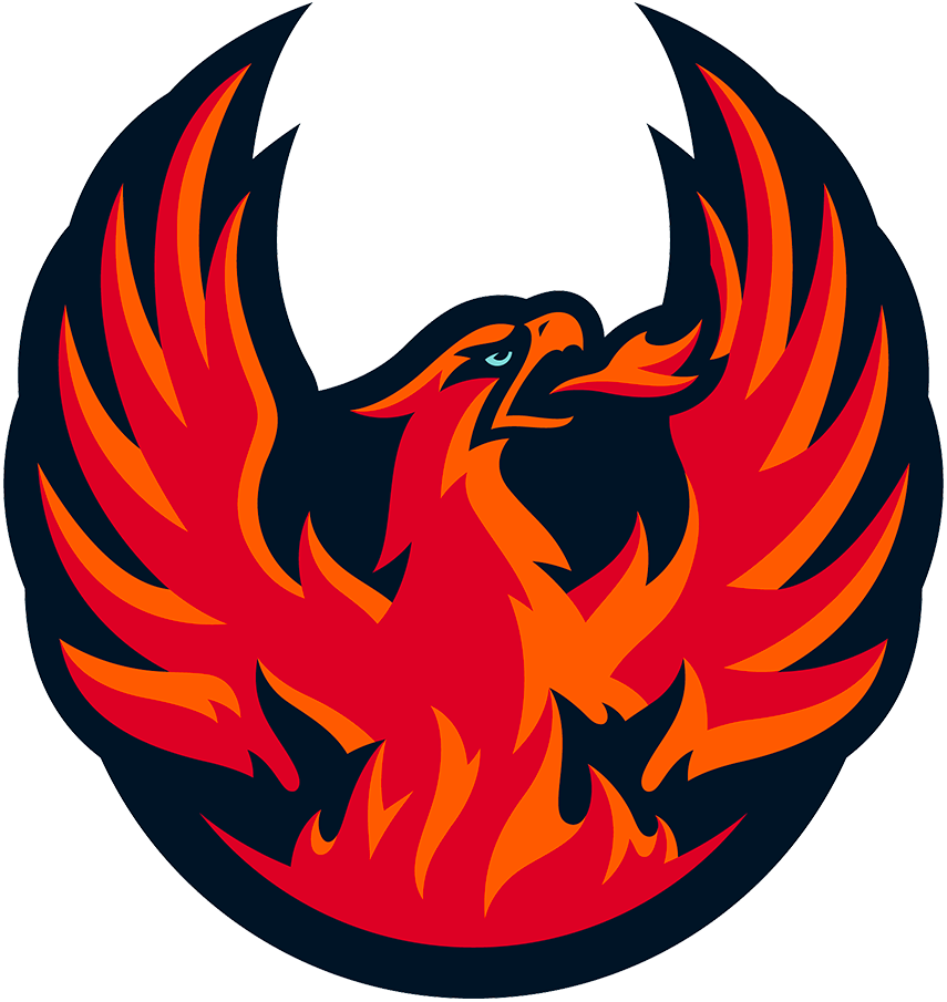 Coachella Valley Firebirds 2022-Pres Primary Logo iron on transfers for clothing